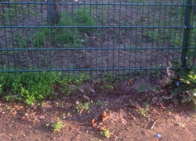 Hundekot direkt am Zaun der Kinderburg West